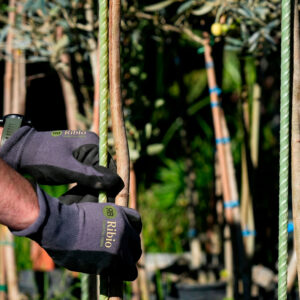 Ribio Stake applicazione in campo